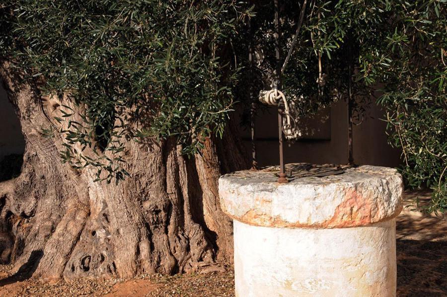Masseria Torre Del Diamante Торре-Канне Екстер'єр фото