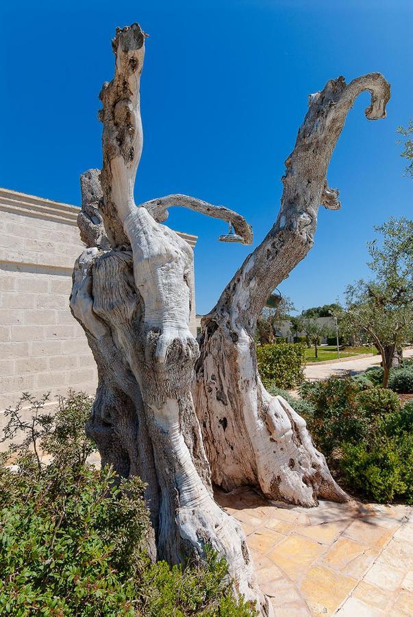 Masseria Torre Del Diamante Торре-Канне Екстер'єр фото