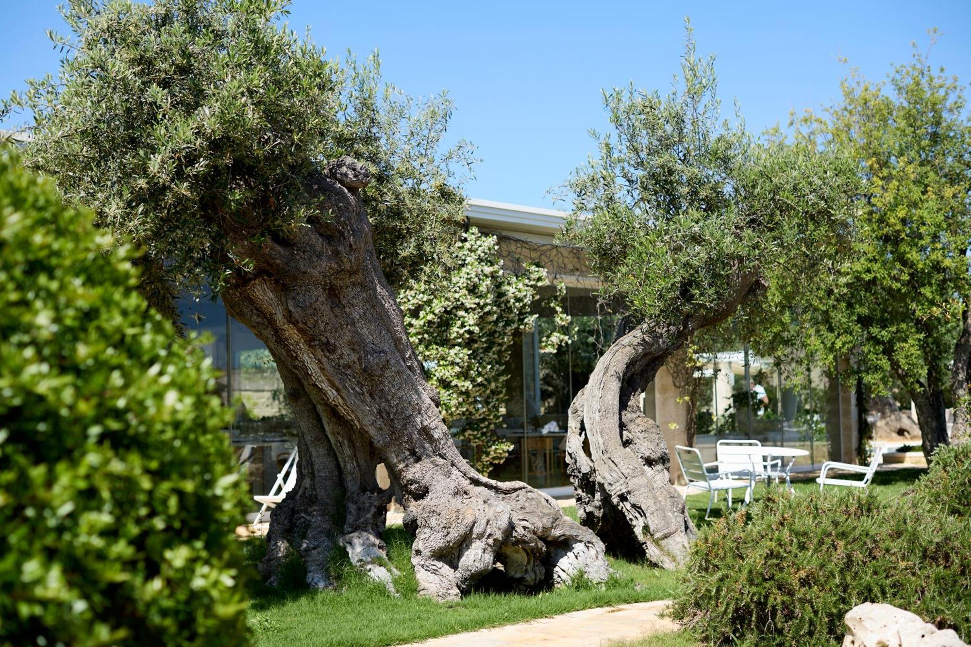 Masseria Torre Del Diamante Торре-Канне Екстер'єр фото